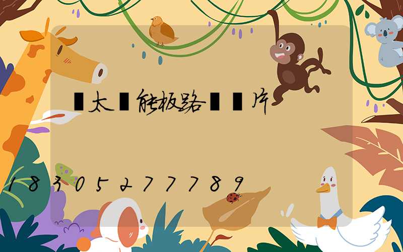 雙太陽能板路燈圖片