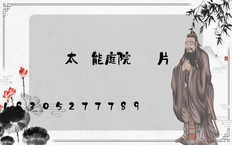 雙頭太陽能庭院燈圖片