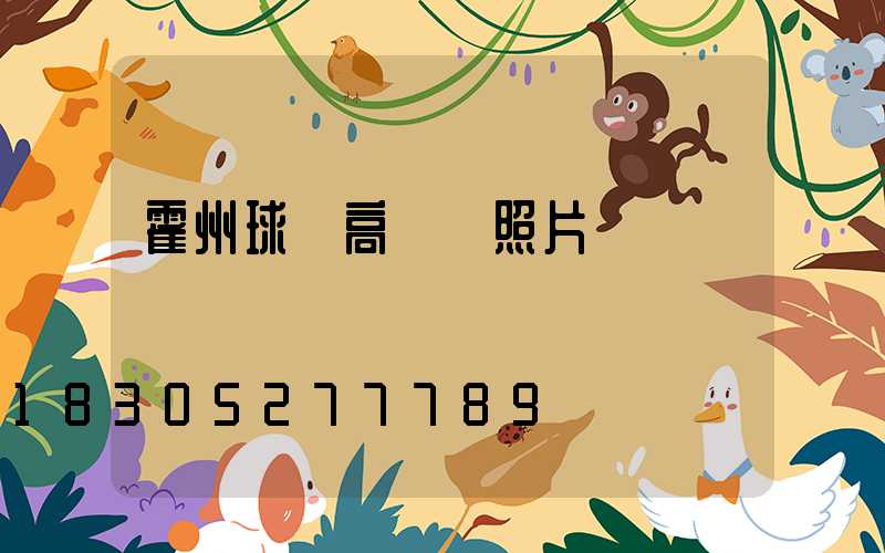 霍州球場高桿燈照片