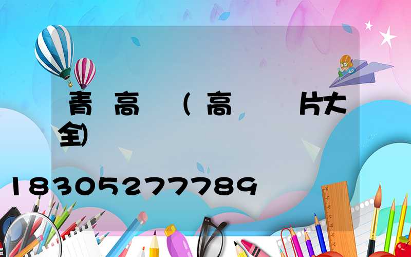 青島高桿燈(高桿燈圖片大全)