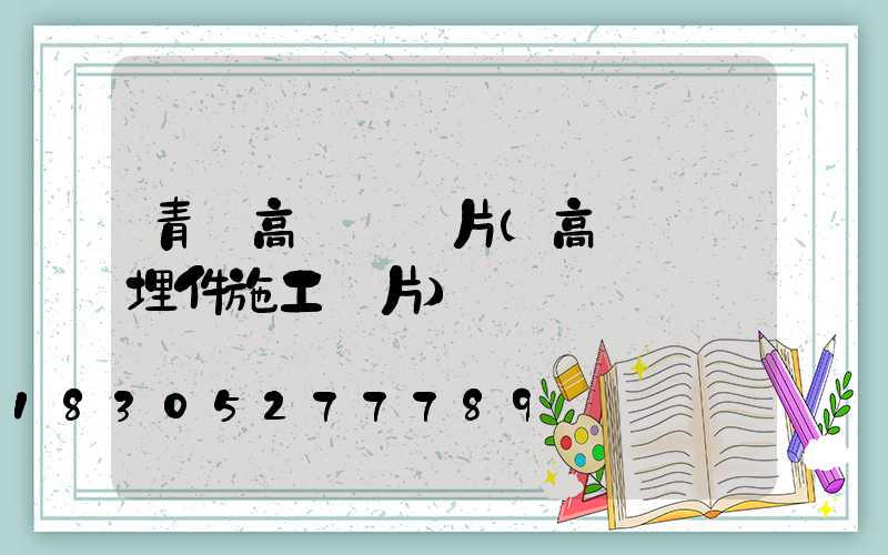 青島高桿燈圖片(高桿燈預埋件施工圖片)