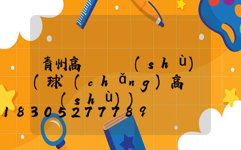 青州高桿燈參數(shù)(球場(chǎng)高桿燈參數(shù))