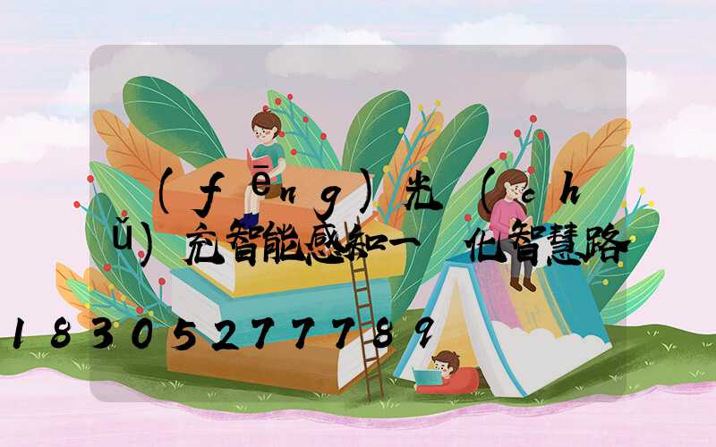 風(fēng)光儲(chǔ)充智能感知一體化智慧路燈