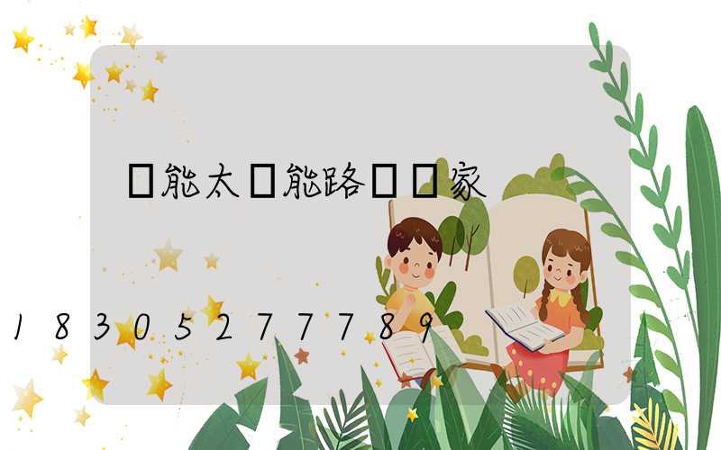 風能太陽能路燈廠家