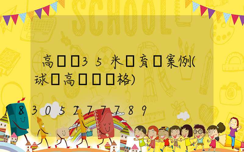 高桿燈35米體育場案例(球場高桿燈價格)
