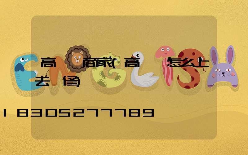 高桿燈商家(高桿燈怎么上去維修)