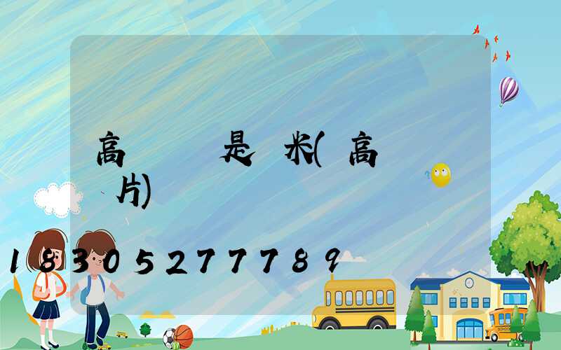 高桿燈桿是幾米(高桿燈桿圖片)