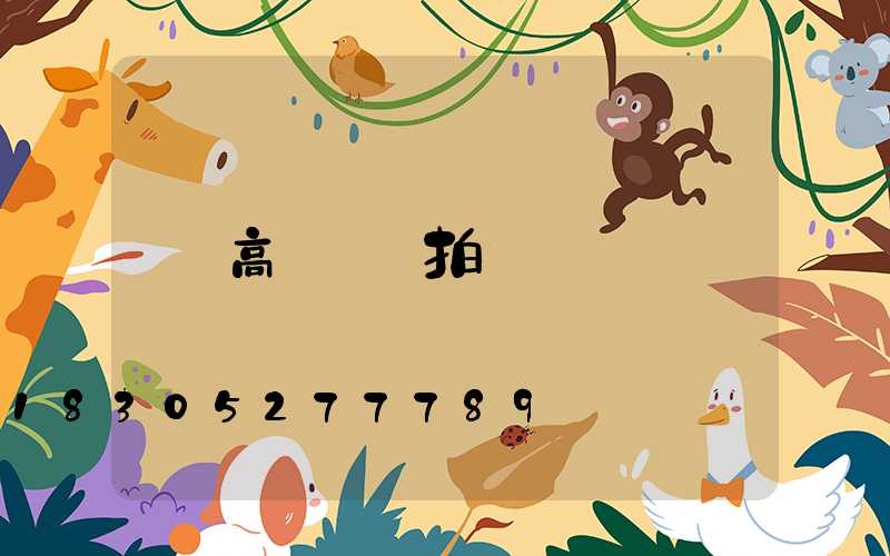 高桿燈燈拍