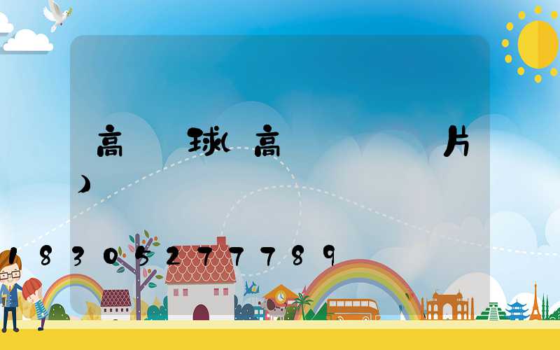 高桿燈球(高桿燈燈盤圖片)