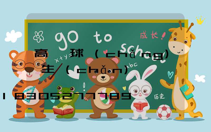 高桿燈球場(chǎng)燈生產(chǎn)