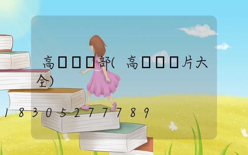 高桿燈頂部(高桿燈圖片大全)