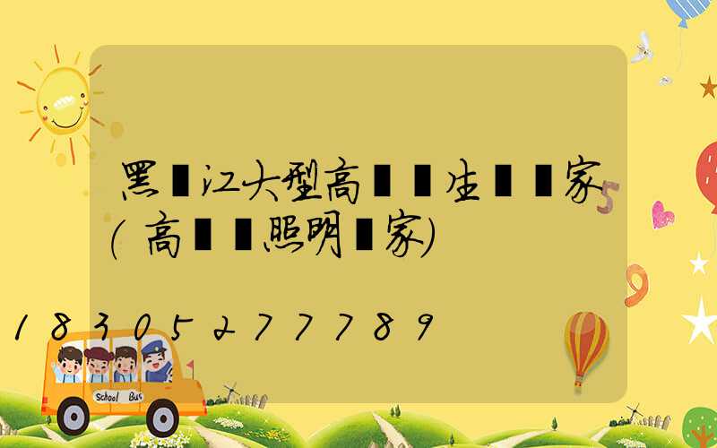 黑龍江大型高桿燈生產廠家(高桿燈照明廠家)