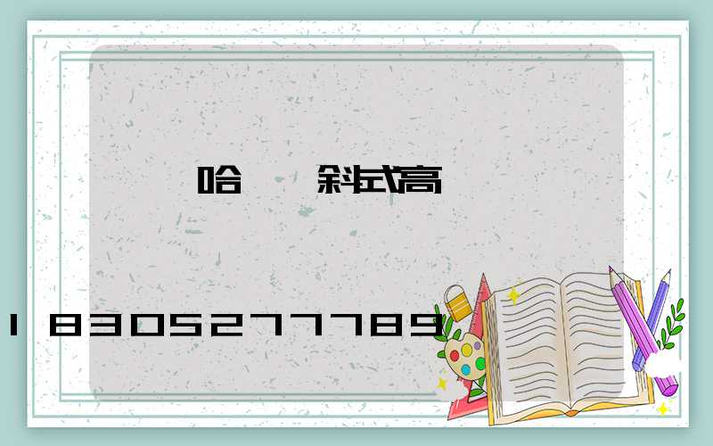 齊齊哈爾傾斜式高桿燈