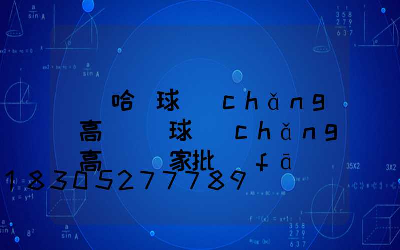 齊齊哈爾球場(chǎng)高桿燈(球場(chǎng)高桿燈廠家批發(fā))