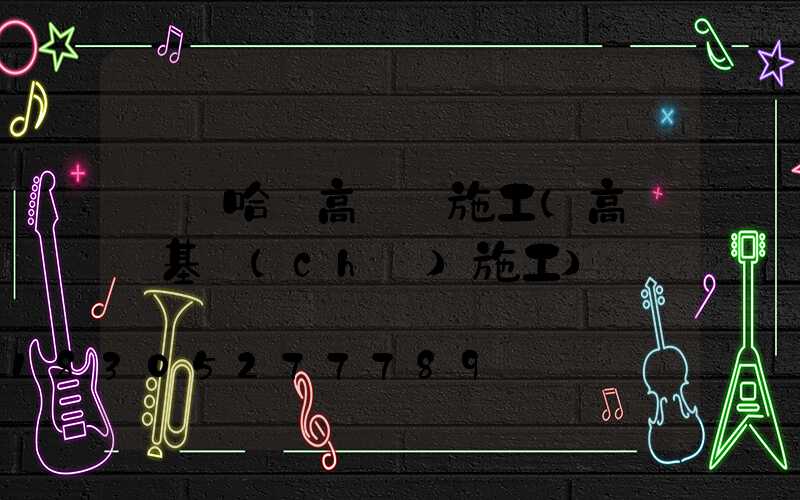 齊齊哈爾高桿燈施工(高桿燈基礎(chǔ)施工)